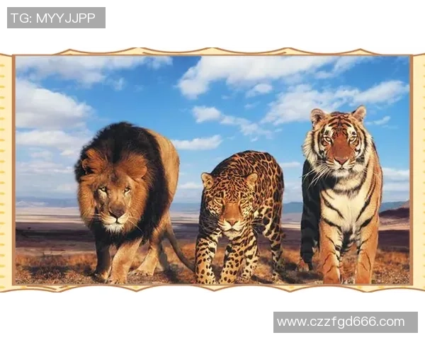 雄性美洲虎与雄狮的巅峰对决谁才是丛林之王的真正霸主